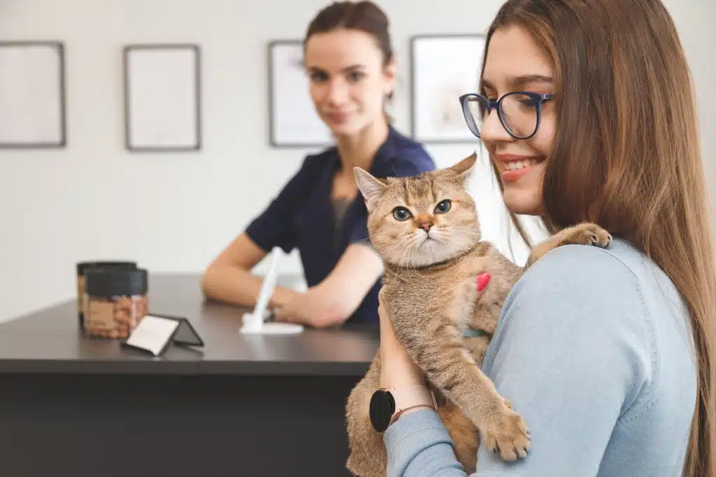Katten crematie kosten