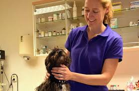 Dierenkliniek De Singels Ypenburg