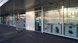 Dierenkliniek De Singels Ypenburg