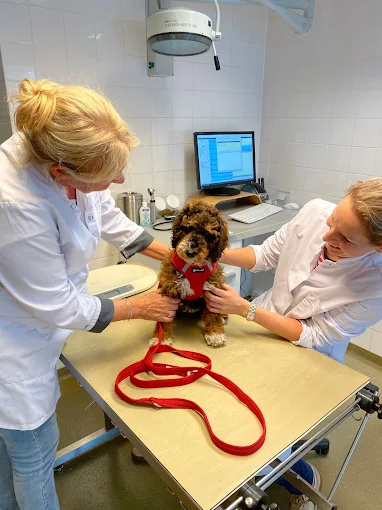 Dierenkliniek Helsdingen