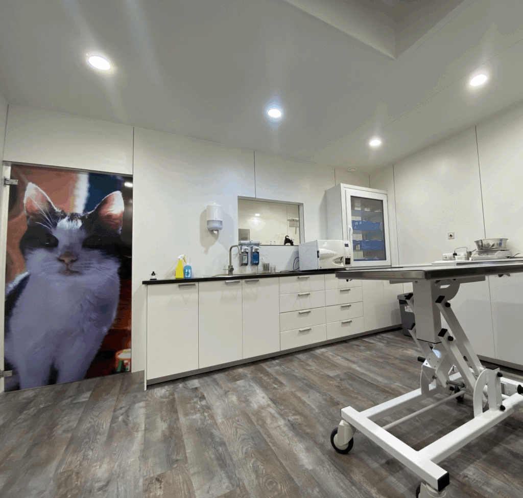 Dierenkliniek Makatsi