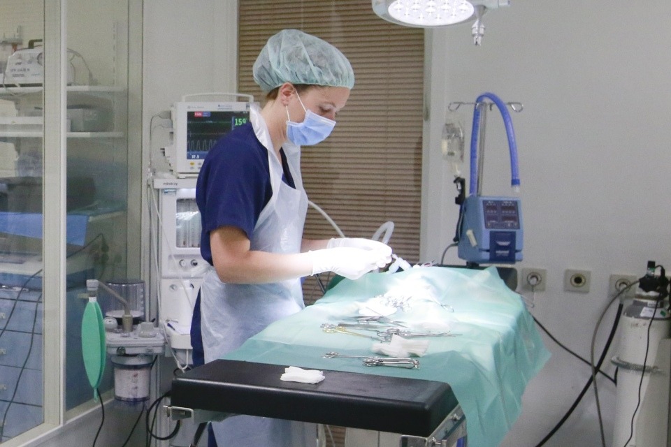 Dierenziekenhuis Rotterdam -1