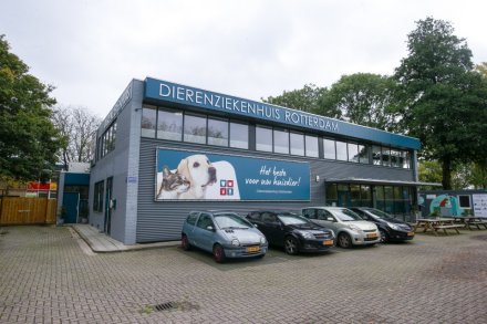 Dierenziekenhuis Rotterdam