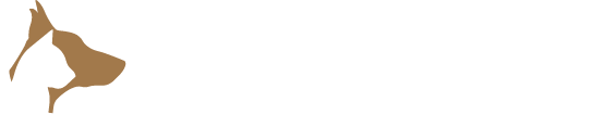 Dierenverzekering Vergelijken