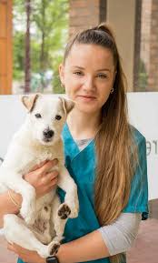 Caressa Animal Hospital Amsterdam