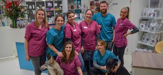 Caressa Animal Hospital Amsterdam