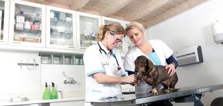 Dierenkliniek Amersfoortweg