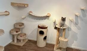 Dierenkliniek Beter Dier, Kattenpension Beter Dier