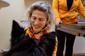 Dierenkliniek de Wolfskooi