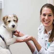 Diergeneeskundig Centrum Oss