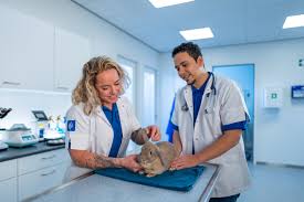 Ranzijn Dierenarts Zaandam