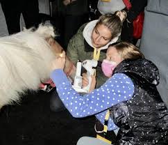 Veterinary Center New Hanse