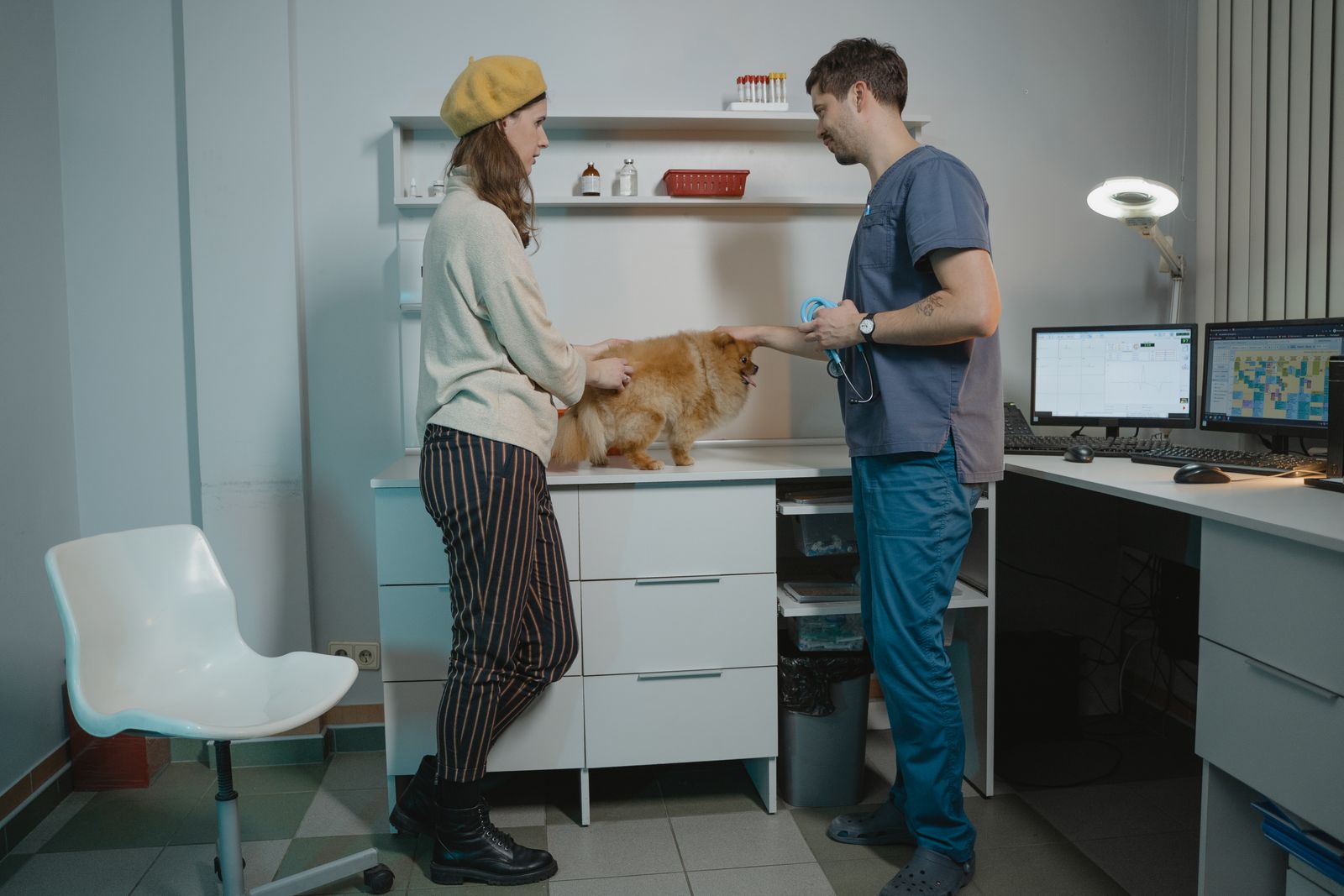 Eigenaar en dierenarts in gesprek naast een hond op de behandeltafel, het moment waarop kosten en vergoeding aan de orde komen.