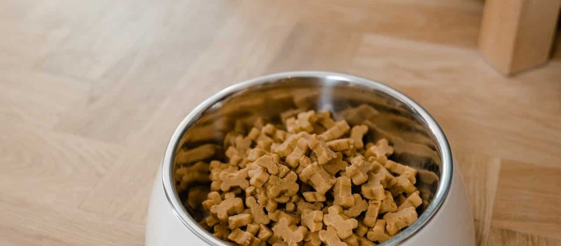 Het belang van goed hondenvoer