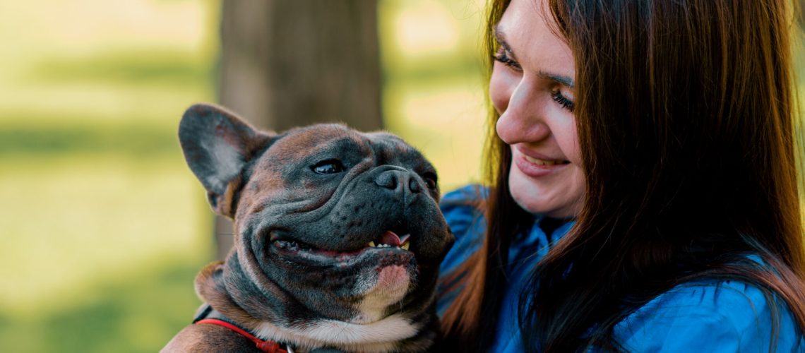 Hoe oud wordt een Franse bulldog
