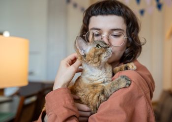 wat kost een kat per maand