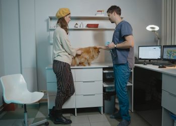 Eigenaar en dierenarts in gesprek naast een hond op de behandeltafel, het moment waarop kosten en vergoeding aan de orde komen.