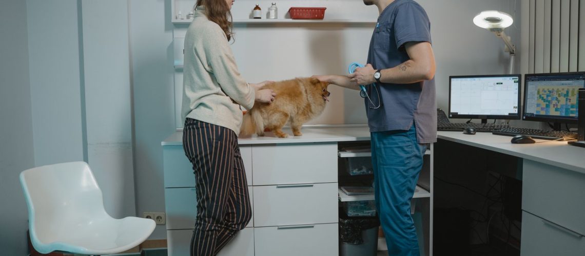 Eigenaar en dierenarts in gesprek naast een hond op de behandeltafel, het moment waarop kosten en vergoeding aan de orde komen.