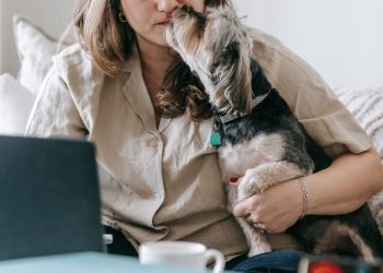 Kleine hond die het gezicht likt van zijn eigenaar, die achter een laptop aan tafel zit met papieren.
