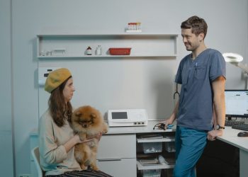 Vrouw met haar hond aan de balie van een dierenkliniek, het moment waarop de rekening en het eigen risico ter sprake komen.